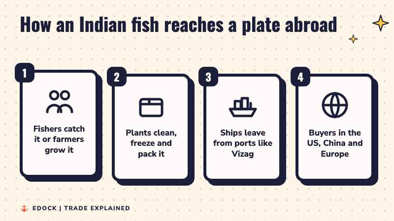 Four steps: fishers catch or farmers grow fish, plants clean, freeze and pack it, ships leave from ports like Vizag, buyers in the US, China and Europe