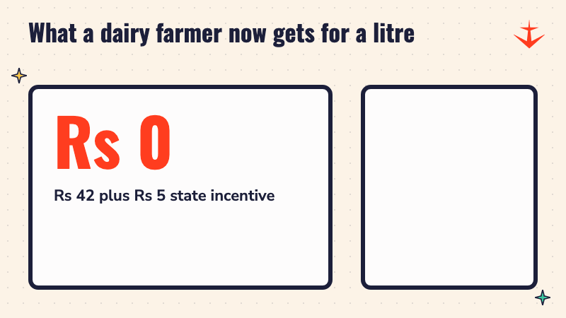 A dairy farmer now gets Rs 47 a litre, Rs 42 plus a Rs 5 state incentive