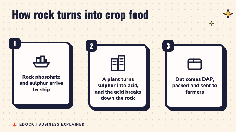 Three steps: rock phosphate and sulphur arrive by ship, a plant turns sulphur into acid that breaks down the rock, and DAP is packed and sent to farmers